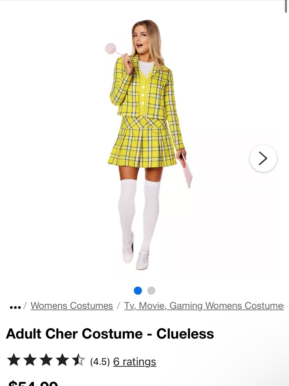 NEW | Clueless Cher Costume